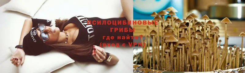 Галлюциногенные грибы MAGIC MUSHROOMS  Северодвинск 